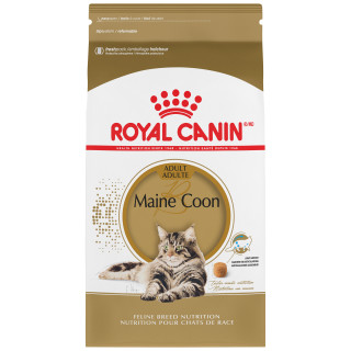 Royal Canin Feline Breed Nutrition Maine Coon Dry Cat Food